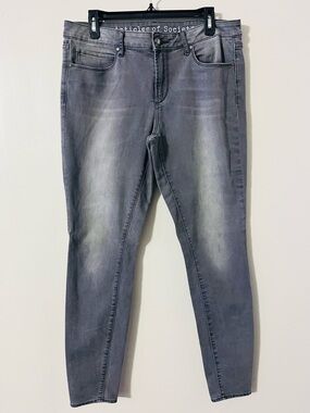 Article of Society Charcoal Jean Sz 31